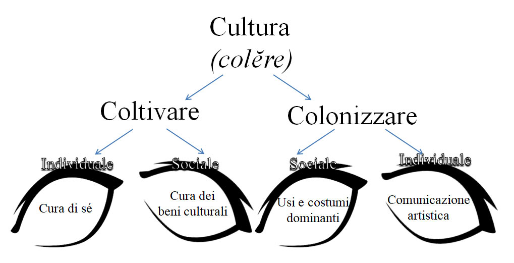 Etimo di Cultura